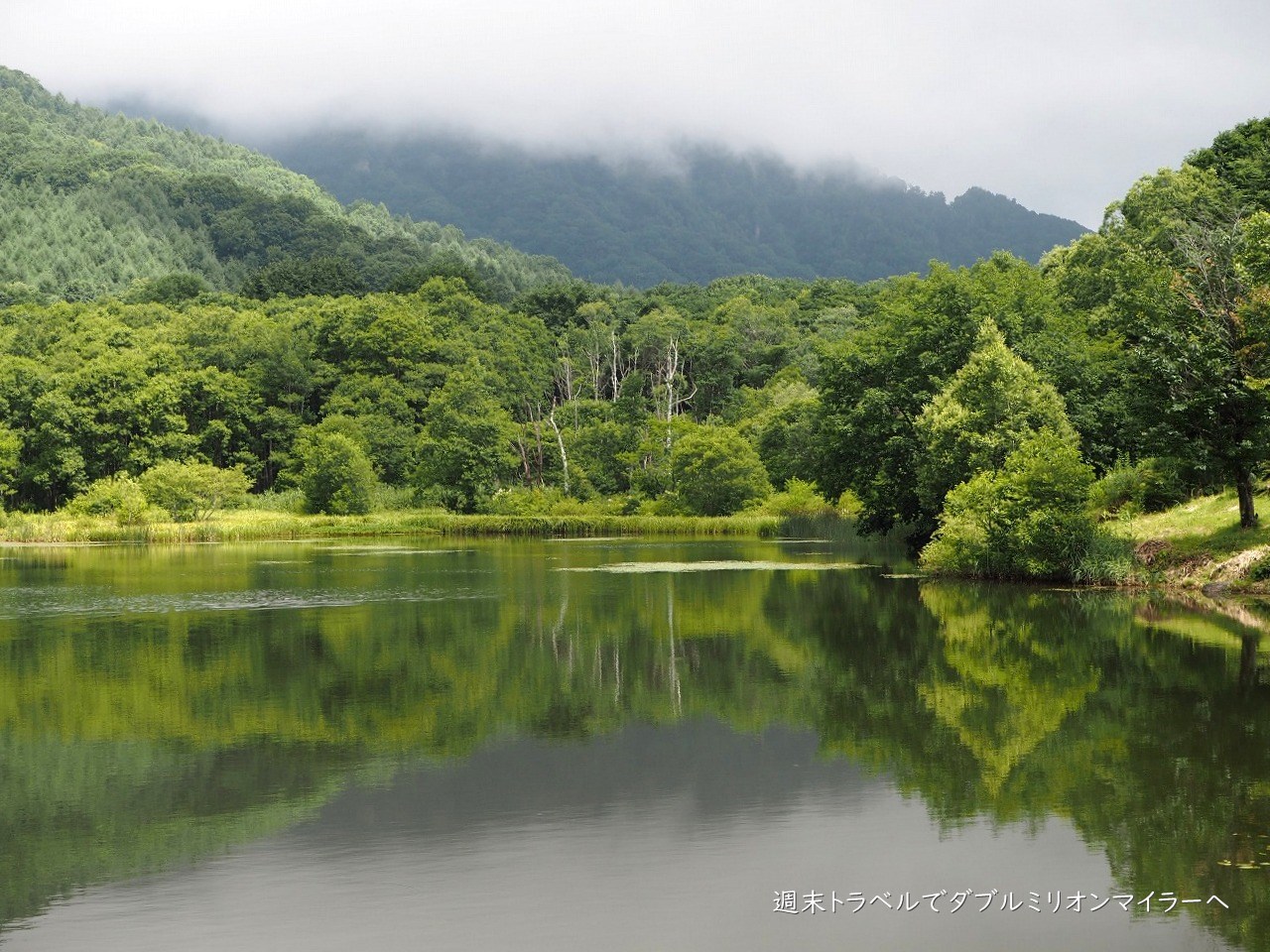 長野県戸隠の 鏡池 と 戸隠森林植物園 で自然の景観を見ながら森林浴