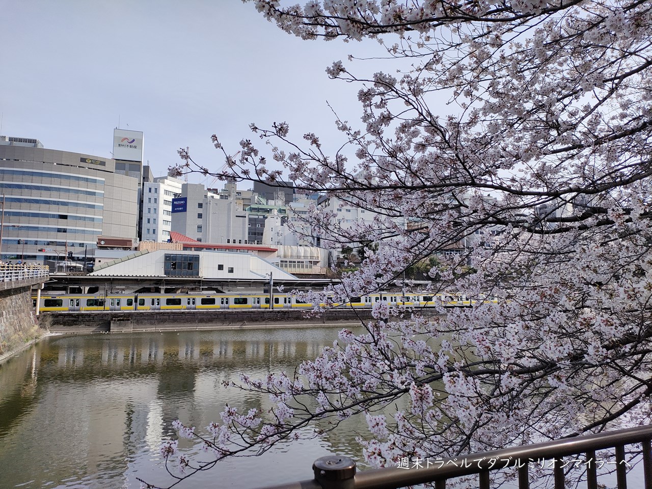 東京の桜はそろそろ見納め 都心散策で22年最後のお花見